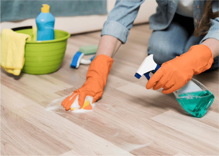 House <br> Cleaning