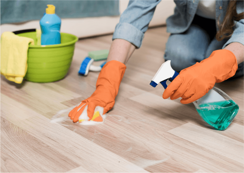 House <br> Cleaning